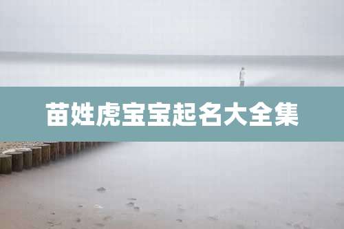 苗姓虎宝宝起名大全集