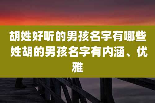 胡姓好听的男孩名字有哪些 姓胡的男孩名字有内涵、优雅