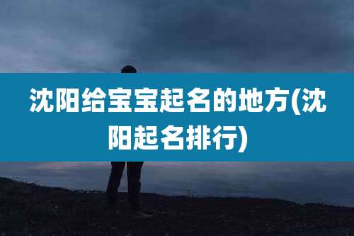 沈阳给宝宝起名的地方(沈阳起名排行)