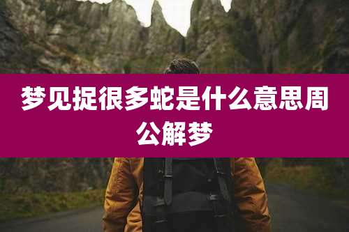 梦见捉很多蛇是什么意思周公解梦