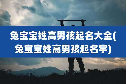 兔宝宝姓高男孩起名大全(兔宝宝姓高男孩起名字)