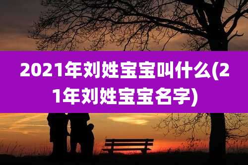 2021年刘姓宝宝叫什么(21年刘姓宝宝名字)