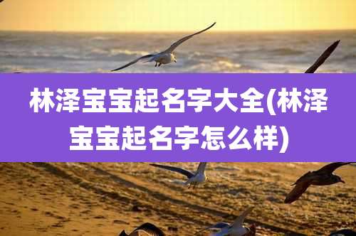 林泽宝宝起名字大全(林泽宝宝起名字怎么样)