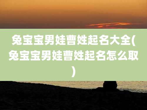 兔宝宝男娃曹姓起名大全(兔宝宝男娃曹姓起名怎么取)