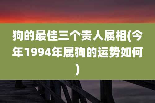 狗的最佳三个贵人属相(今年1994年属狗的运势如何)