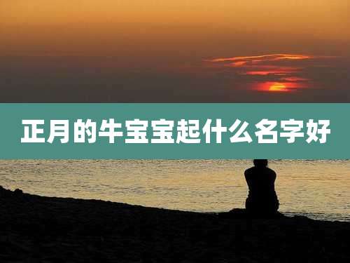 正月的牛宝宝起什么名字好