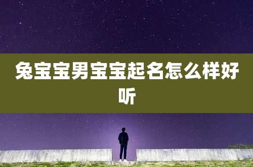 兔宝宝男宝宝起名怎么样好听