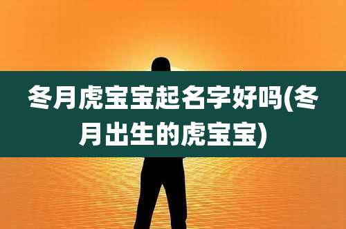 冬月虎宝宝起名字好吗(冬月出生的虎宝宝)