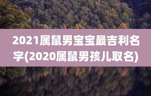 2021属鼠男宝宝最吉利名字(2020属鼠男孩儿取名)