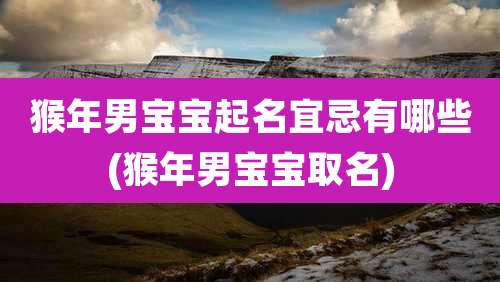 猴年男宝宝起名宜忌有哪些(猴年男宝宝取名)