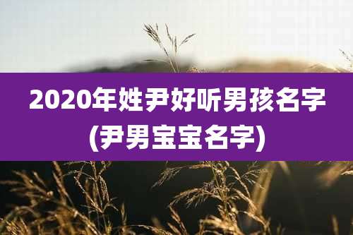 2020年姓尹好听男孩名字(尹男宝宝名字)