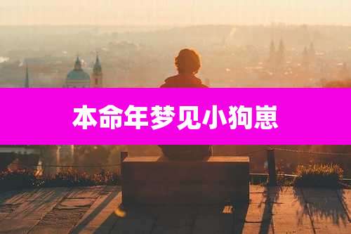 本命年梦见小狗崽