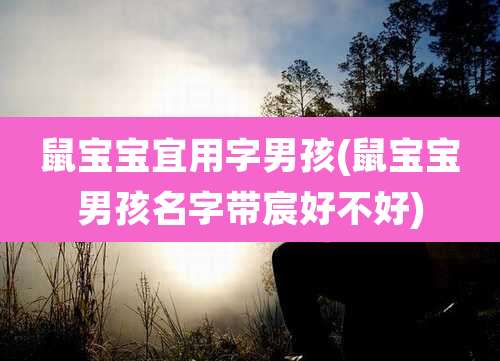 鼠宝宝宜用字男孩(鼠宝宝男孩名字带宸好不好)