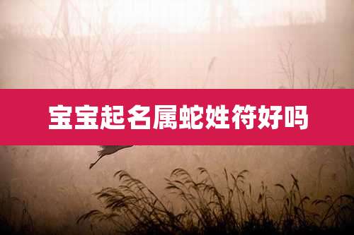 宝宝起名属蛇姓符好吗