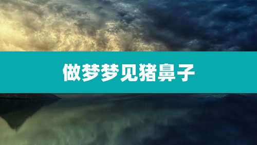 做梦梦见猪鼻子