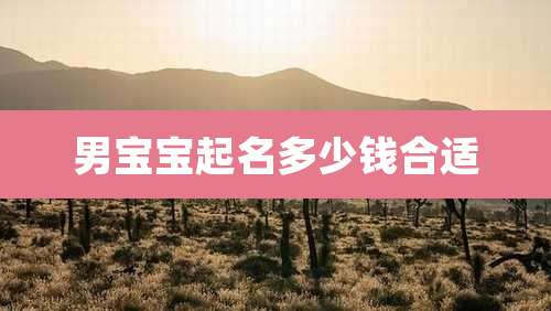 男宝宝起名多少钱合适