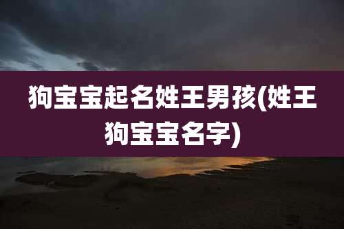 狗宝宝起名姓王男孩(姓王狗宝宝名字)