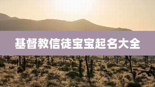 基督教信徒宝宝起名大全