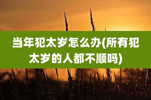 当年犯太岁怎么办(所有犯太岁的人都不顺吗)