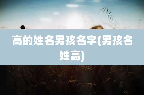 高的姓名男孩名字(男孩名姓高)
