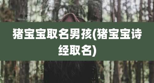 猪宝宝取名男孩(猪宝宝诗经取名)