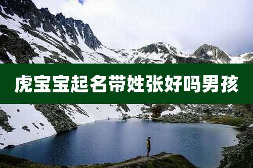 虎宝宝起名带姓张好吗男孩