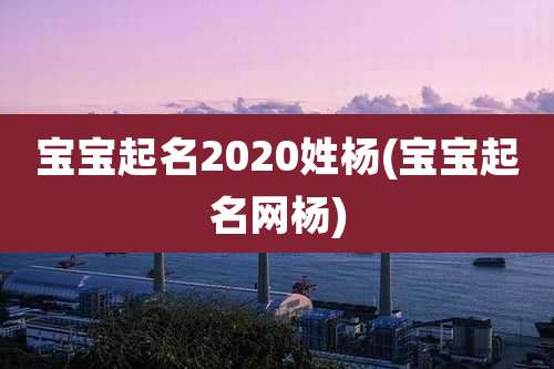 宝宝起名2020姓杨(宝宝起名网杨)