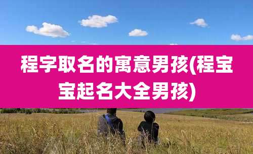 程字取名的寓意男孩(程宝宝起名大全男孩)