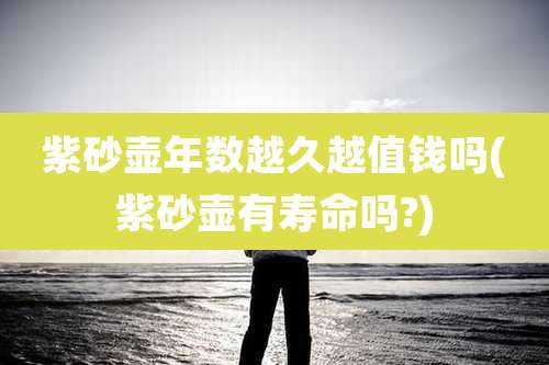 紫砂壶年数越久越值钱吗(紫砂壶有寿命吗?)