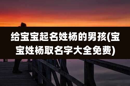 给宝宝起名姓杨的男孩(宝宝姓杨取名字大全免费)