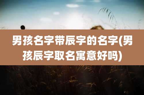 男孩名字带辰字的名字(男孩辰字取名寓意好吗)