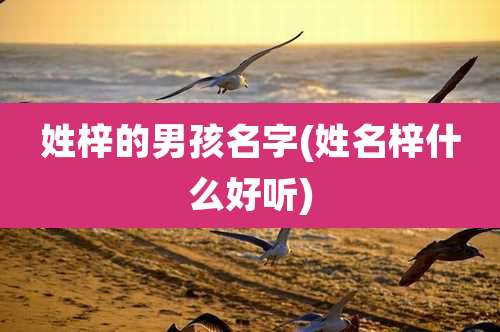 姓梓的男孩名字(姓名梓什么好听)