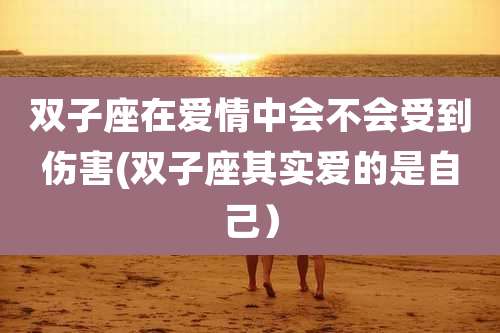 双子座在爱情中会不会受到伤害(双子座其实爱的是自己)