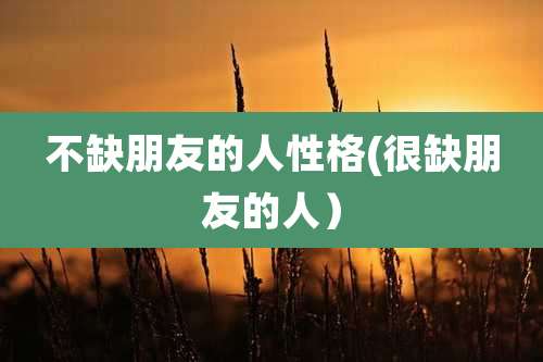 不缺朋友的人性格(很缺朋友的人)