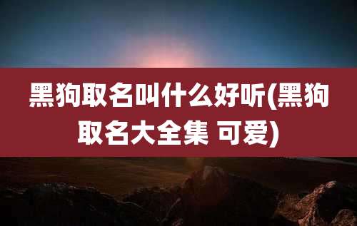 黑狗取名叫什么好听(黑狗取名大全集 可爱)