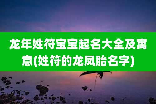 龙年姓符宝宝起名大全及寓意(姓符的龙凤胎名字)
