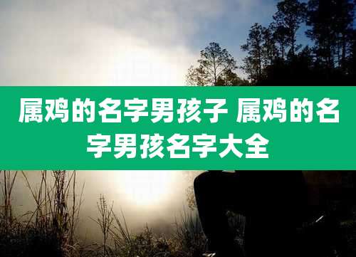 属鸡的名字男孩子 属鸡的名字男孩名字大全