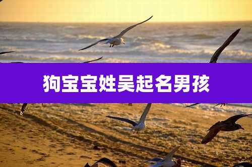 狗宝宝姓吴起名男孩