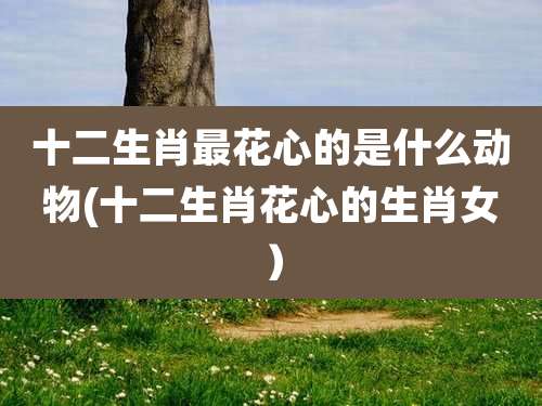 十二生肖最花心的是什么动物(十二生肖花心的生肖女）