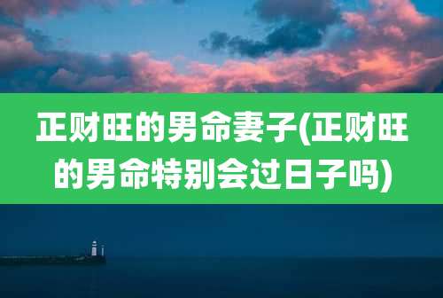 正财旺的男命妻子(正财旺的男命特别会过日子吗)