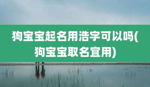 狗宝宝起名用浩字可以吗(狗宝宝取名宜用)