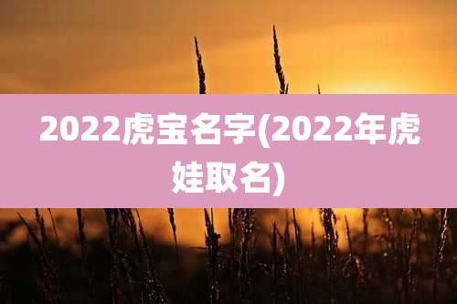 2022虎宝名字(2022年虎娃取名)