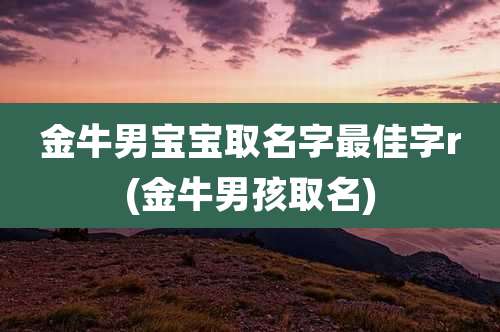 金牛男宝宝取名字最佳字r(金牛男孩取名)