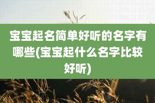 宝宝起名简单好听的名字有哪些(宝宝起什么名字比较好听)