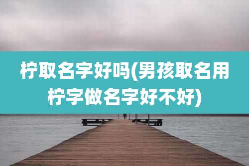 柠取名字好吗(男孩取名用柠字做名字好不好)