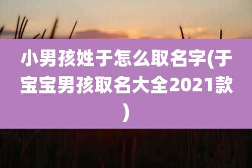 小男孩姓于怎么取名字(于宝宝男孩取名大全2021款)