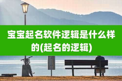 宝宝起名软件逻辑是什么样的(起名的逻辑)