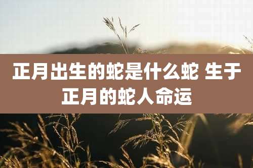 正月出生的蛇是什么蛇 生于正月的蛇人命运