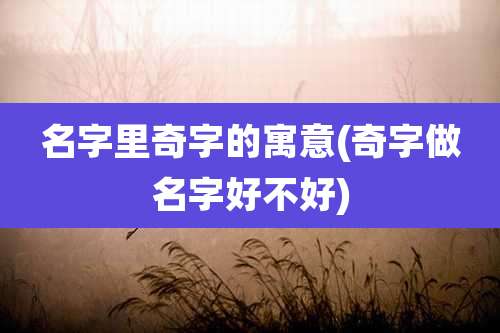 名字里奇字的寓意(奇字做名字好不好)