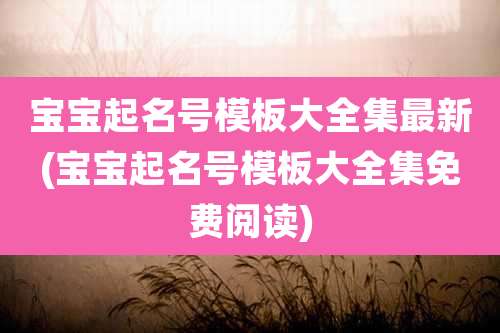 宝宝起名号模板大全集最新(宝宝起名号模板大全集免费阅读)